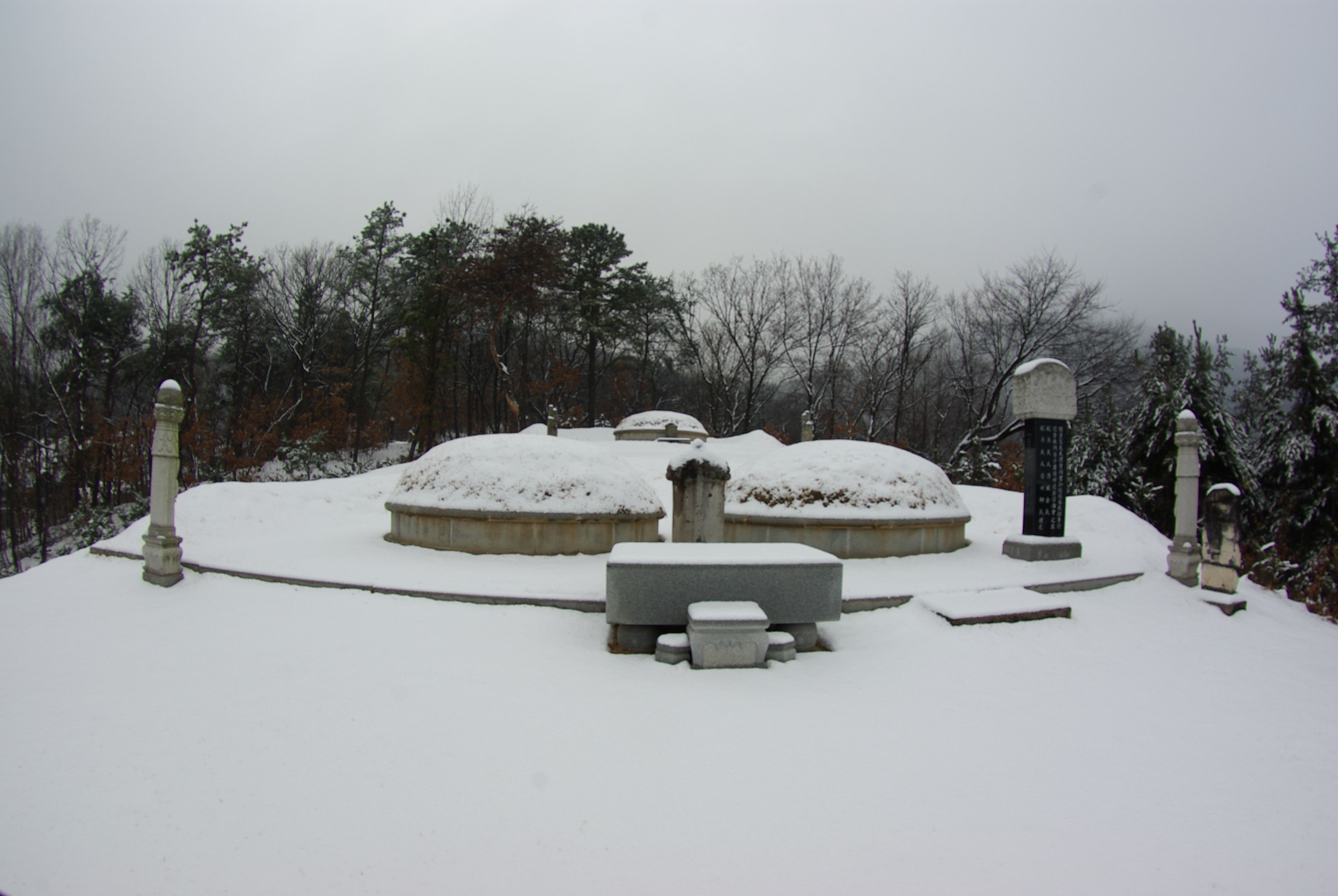 참판공 묘소 겨울