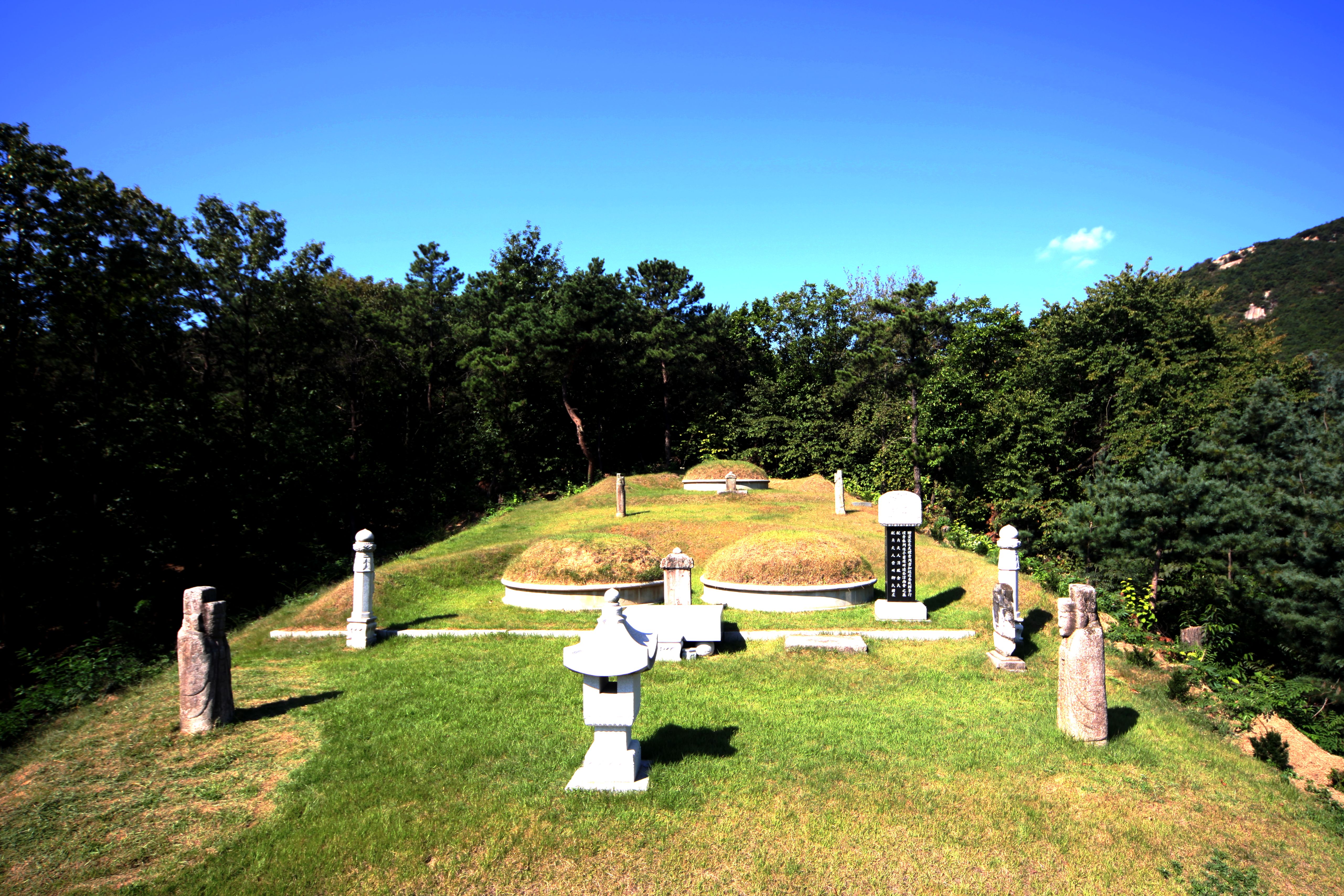 참판공 묘소 여름